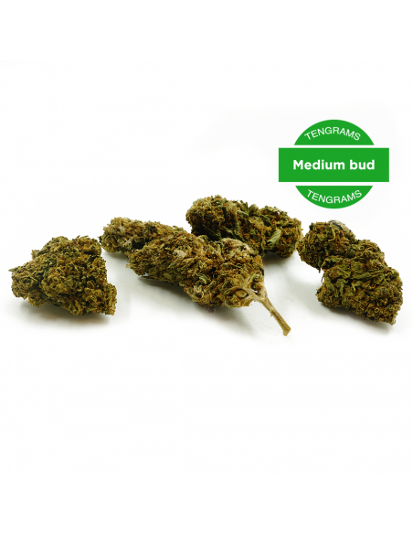 WHITE RABBIT - PRE-ROLL CBD JACK HERER DISPLAY DE 16_Pré-rolls CBD White Rabbit