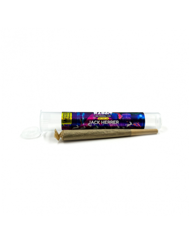 WHITE RABBIT - PRE-ROLL CBD JACK HERER DISPLAY DE 16_Pré-rolls CBD White Rabbit