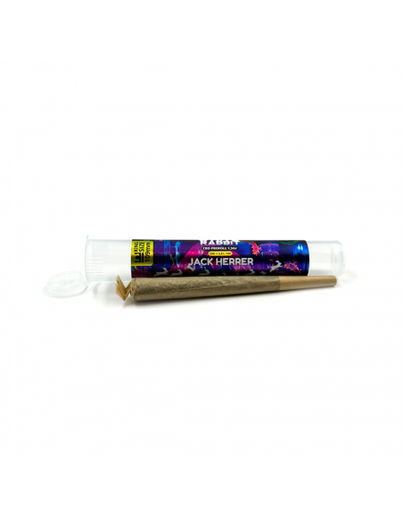 WHITE RABBIT - PRE-ROLL CBD JACK HERER DISPLAY DE 16_Pré-rolls CBD White Rabbit