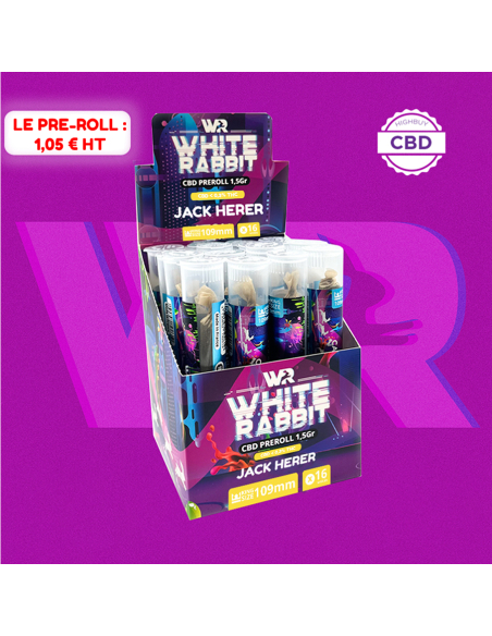 WHITE RABBIT - PRE-ROLL CBD JACK HERER DISPLAY DE 16_Pré-rolls CBD White Rabbit