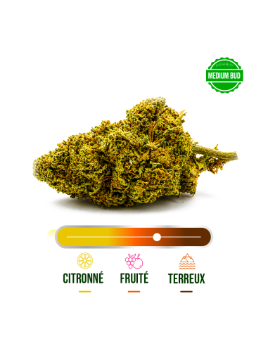 AMNESIA GREENHOUSE CBD 100G_Fleurs Greenhouse CBD en gros