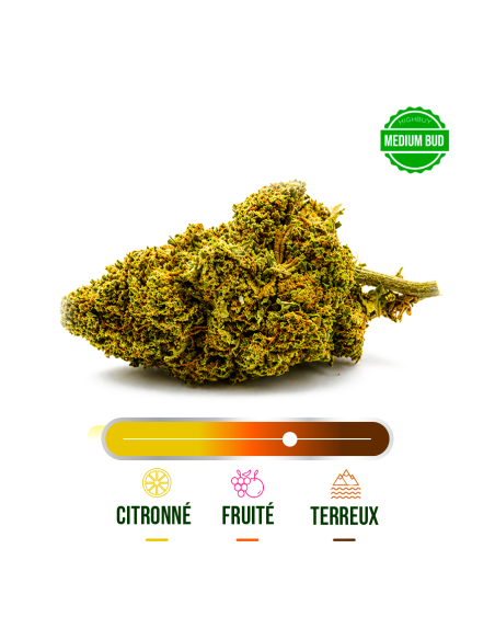 AMNESIA GREENHOUSE CBD 100G_Fleurs Greenhouse CBD en gros