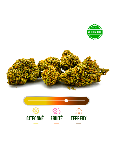 AMNESIA GREENHOUSE CBD 100G_Fleurs Greenhouse CBD en gros