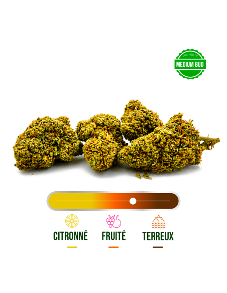 AMNESIA GREENHOUSE CBD 100G_Fleurs Greenhouse CBD en gros