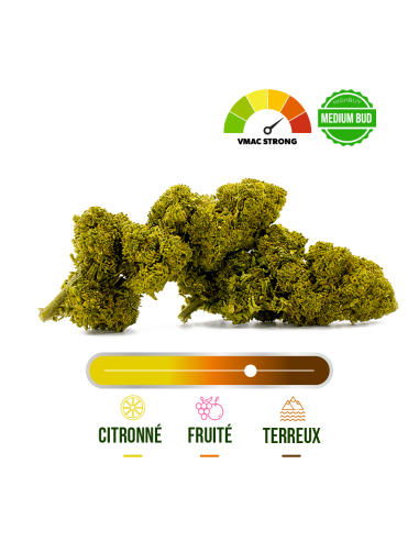 SUPER SKUNK INDOOR VMAC STRONG 100G_Fleurs VMAC en gros