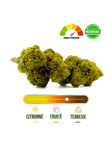 SUPER SKUNK INDOOR VMAC STRONG 100G_Fleurs VMAC en gros