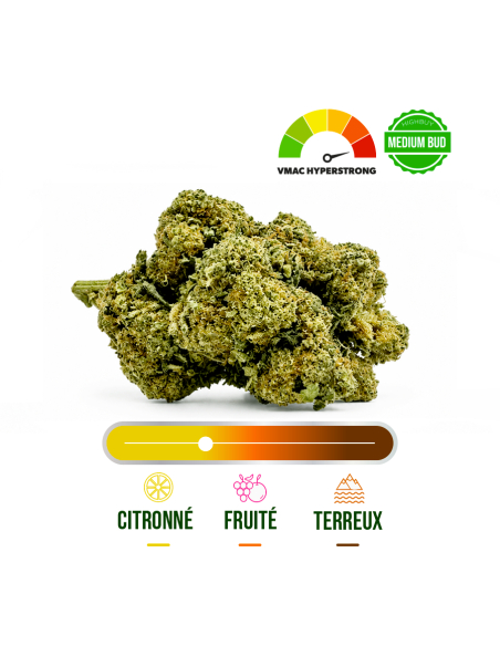 AMNESIA HAZE INDOOR VMAC HYPER STRONG 100G_Fleurs VMAC hyperstrong