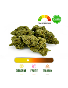 AMNESIA HAZE INDOOR VMAC HYPER STRONG 100G_Fleurs VMAC hyperstrong