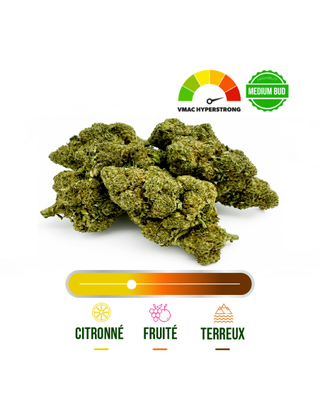 AMNESIA HAZE INDOOR VMAC HYPER STRONG 100G_Fleurs VMAC hyperstrong