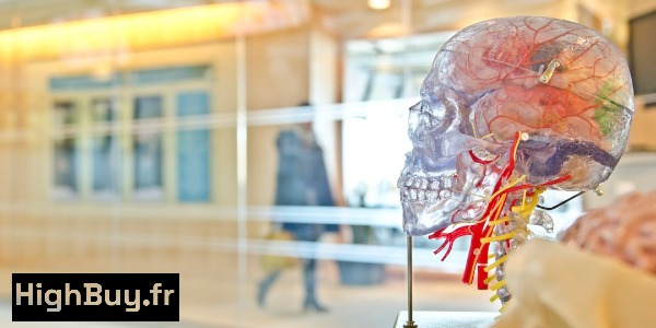 Le CBD : Révolution dans les Soins de Santé et le Bien-Être