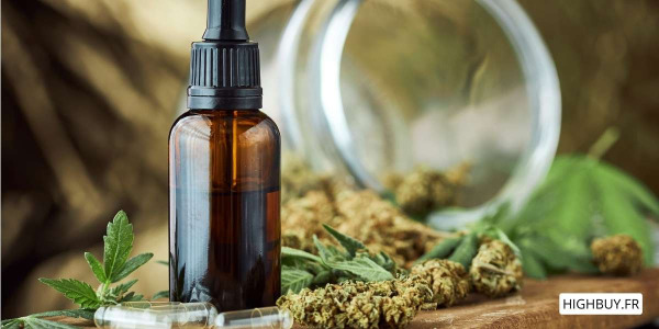 Portrait des consommateurs de CBD en France