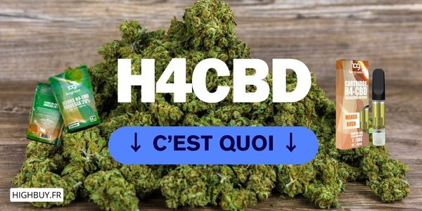 Tout savoir sur le H4CBD : découverte, légalité, avantages