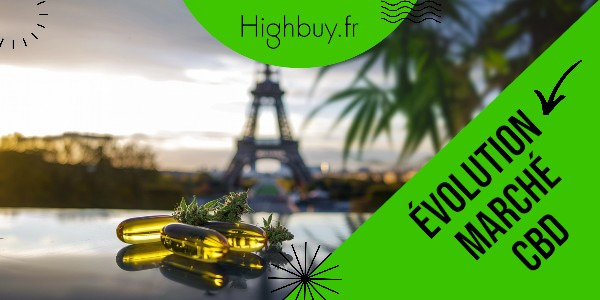 L'évolution du marché du CBD en France et en Europe: Le Rôle Pionnier de HighBuy