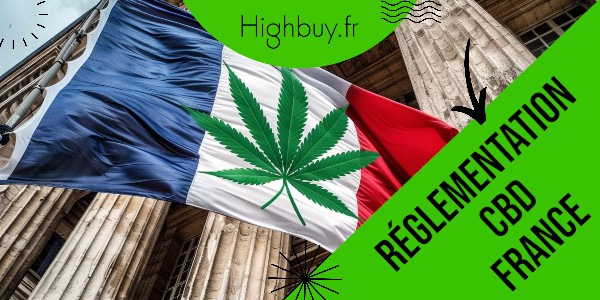Réglementation autour du CBD : ce que les professionnels doivent savoir