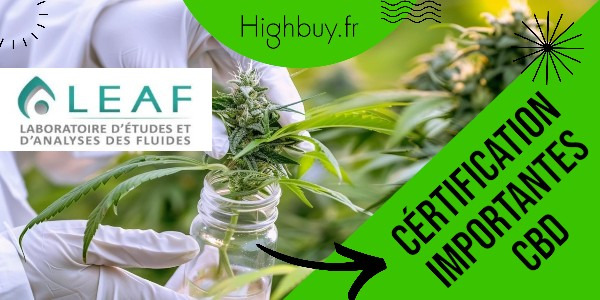 Les certifications importantes pour les produits CBD