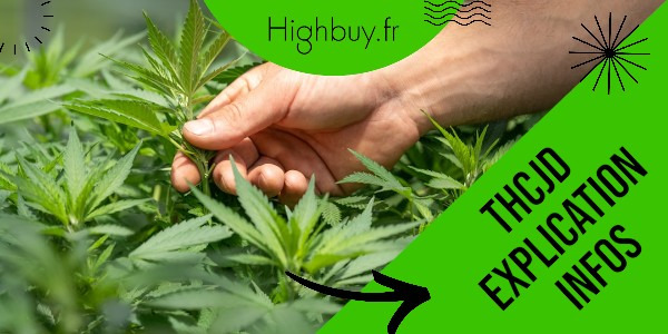 Le THCJD, infos et explications