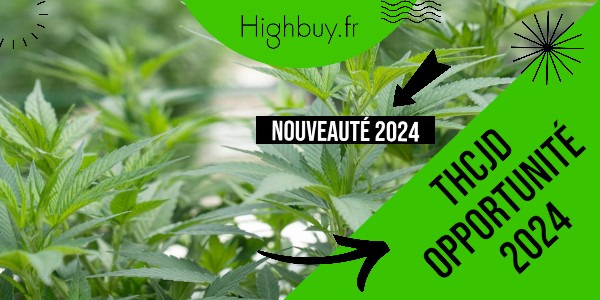 Le THCJD, une opportunité à saisir en 2024 pour vos commerces et e-commerces