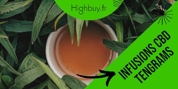 Les infusions CBD Tengrams : l'importance de diversifier sa clientèle