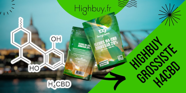 Highbuy votre grossiste spécialiste du H4CBD