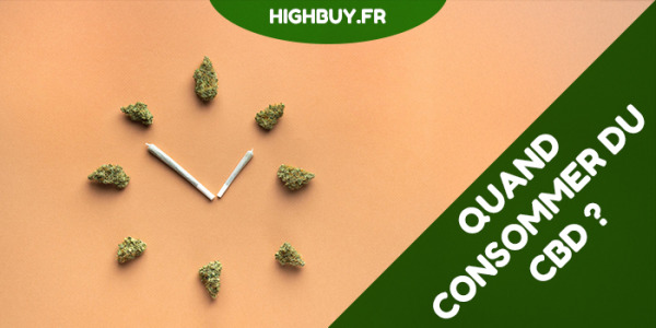 Quand consommer du CBD ?