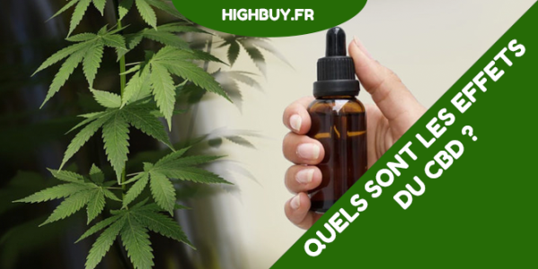 Quels sont les effets du CBD ?