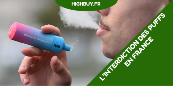 L’interdiction des puffs jetables en France en 2025 : Passez aux puffs rechargeables White Rabbit !