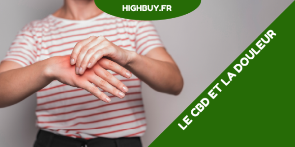 Le CBD et la douleur : Une alternative naturelle à la gestion de la douleur chronique